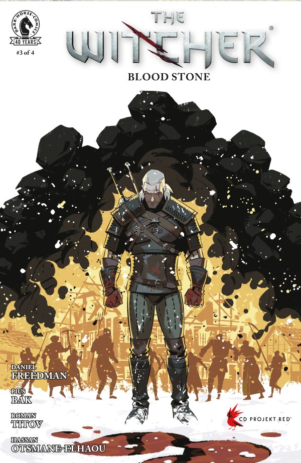 The Witcher: Blood Stone #3 cover