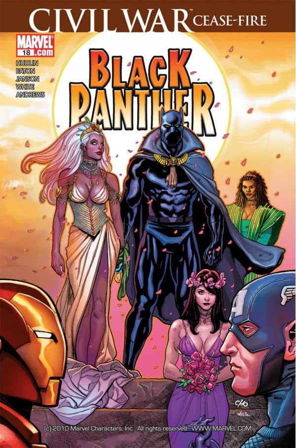 Black Panther #18 cover