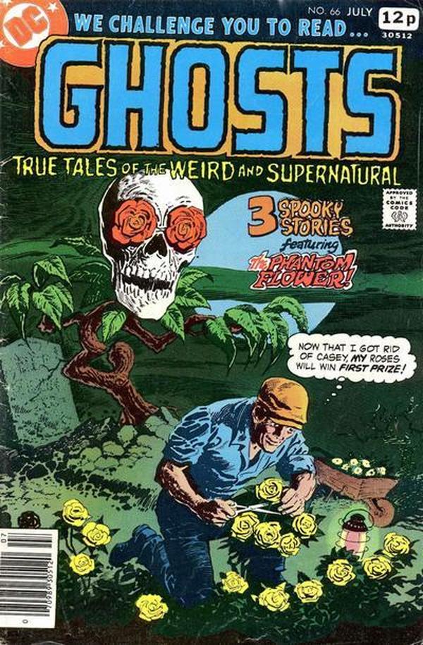 #66
