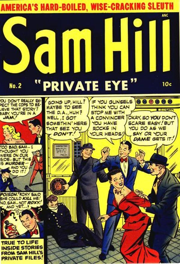 Sam Hill Private Eye #2 cover