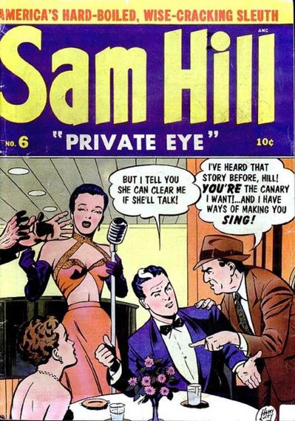 Sam Hill Private Eye #6 cover