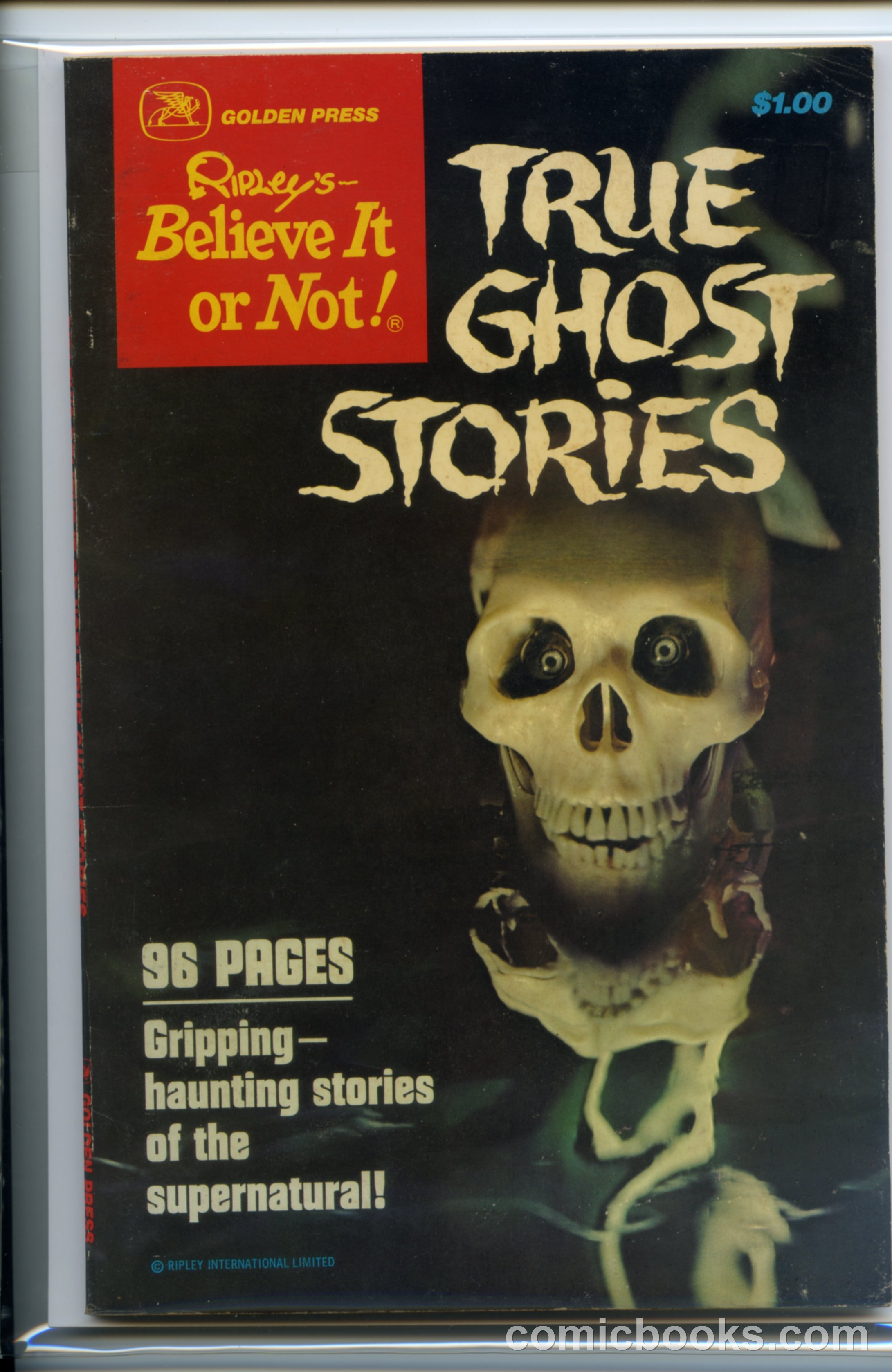 Ripley's Believe It or Not! True Ghost Stories #11401 [2] cover