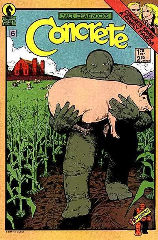 Concrete #6 cover