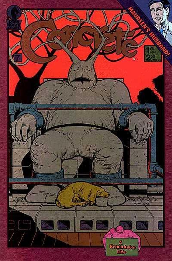 Concrete #7 cover
