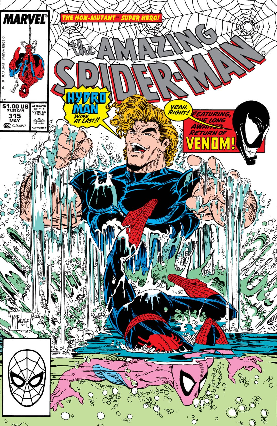 The Amazing Spider-Man #315 cover