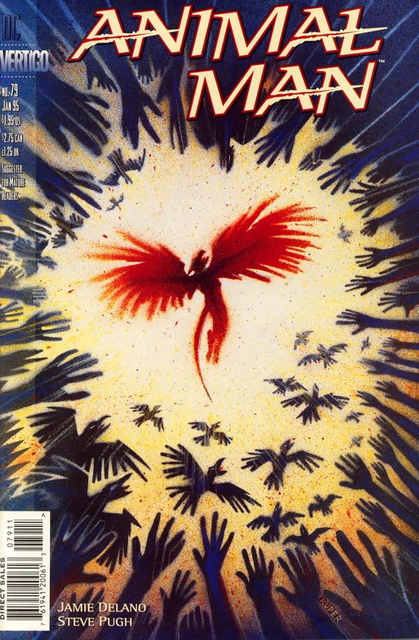 Animal Man #79 cover