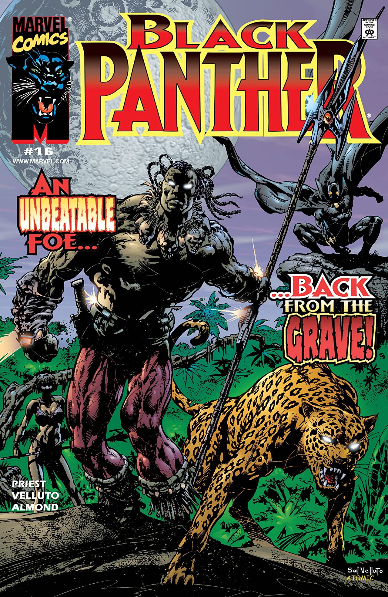 Black Panther #16