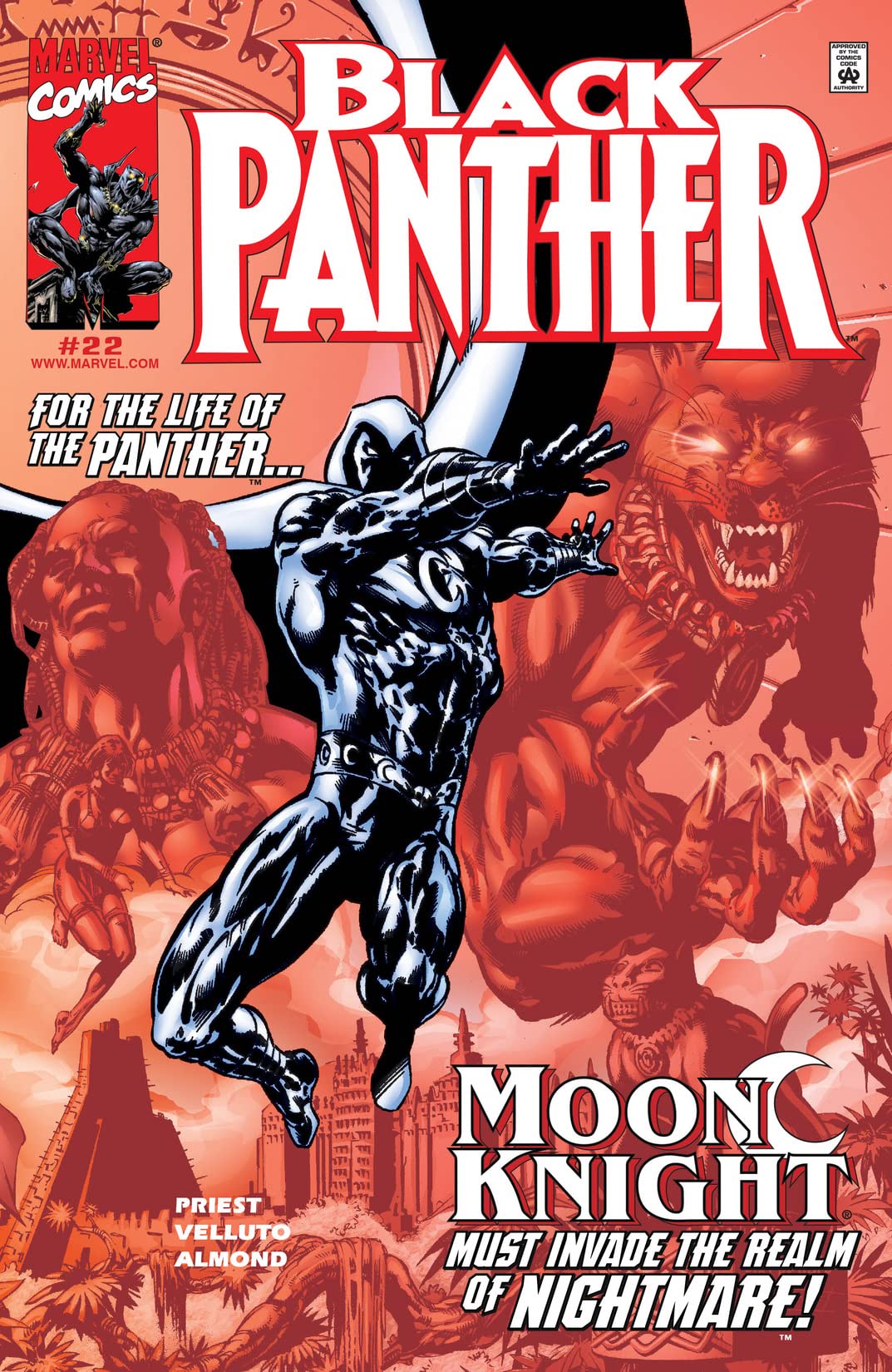 Black Panther #22