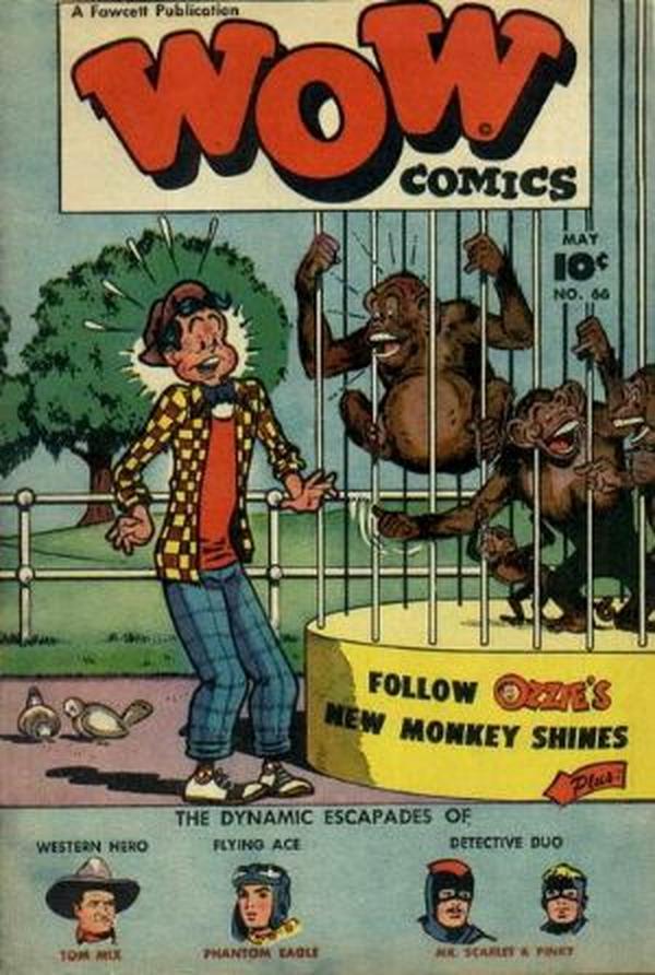 #66