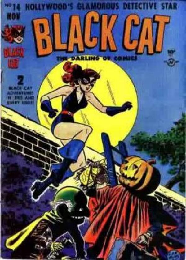 Black Cat Comics #14