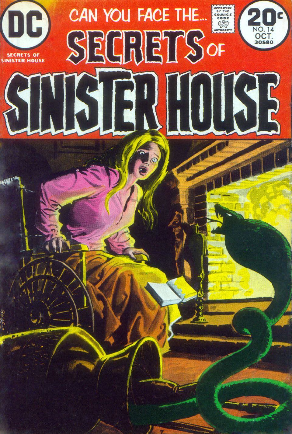 Secrets of Sinister House #14