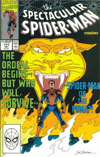 The Spectacular Spider-Man #171 cover