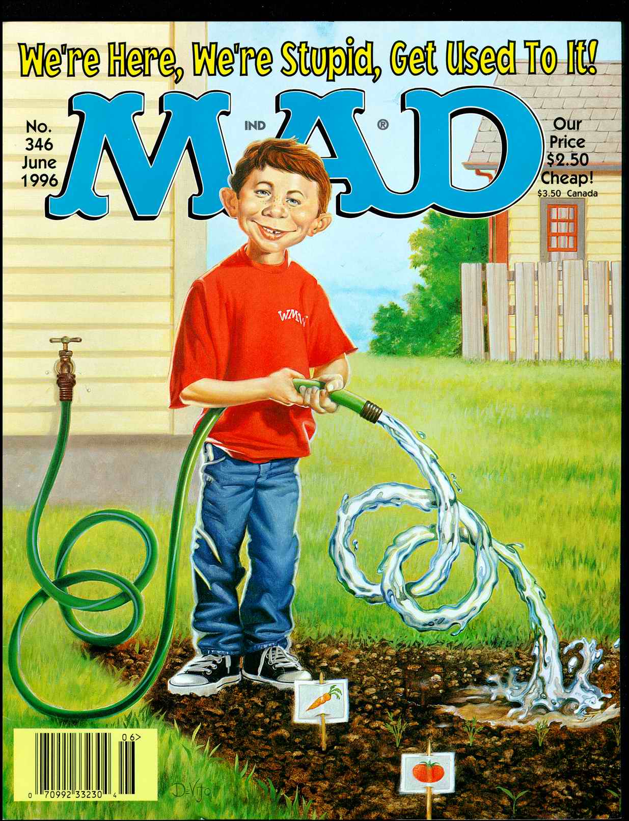Mad #346 cover