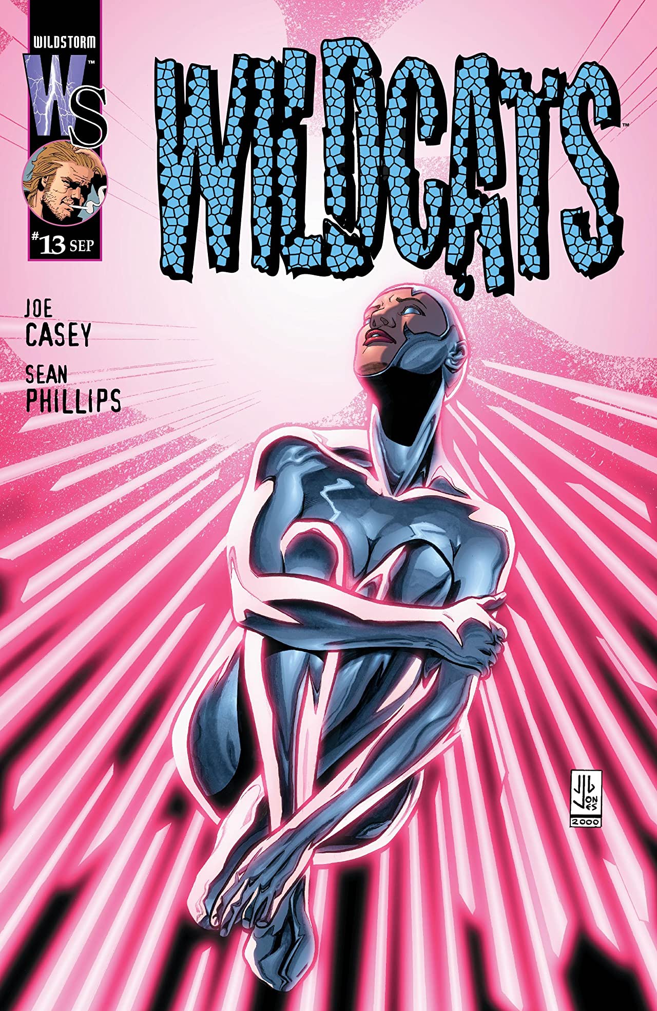 Wildcats #13 cover