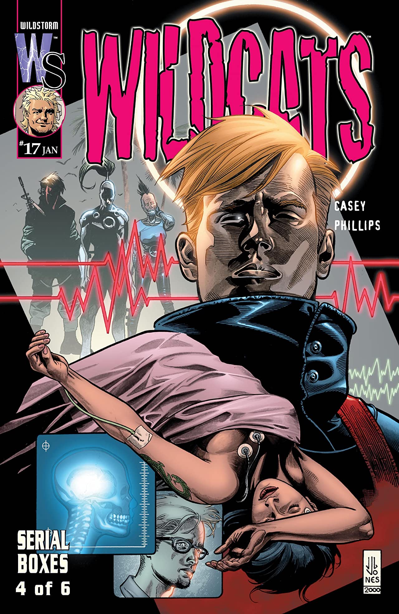 Wildcats #17 cover