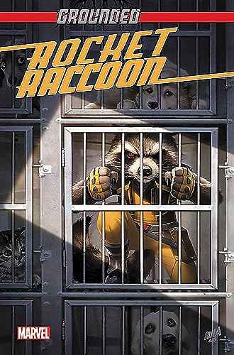 Rocket Raccoon: Grounded #[nn] cover