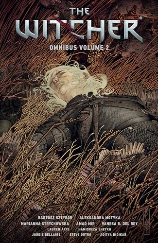 The Witcher Omnibus #2 cover