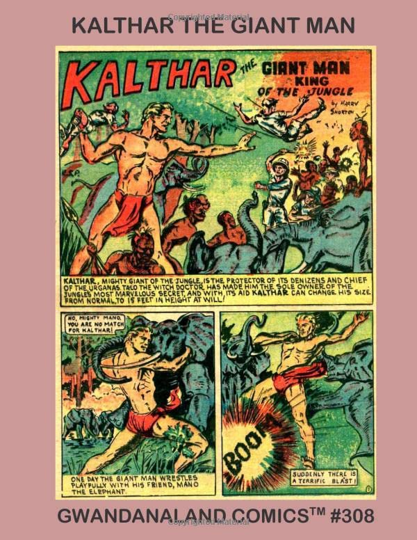 Gwandanaland Comics #308 cover