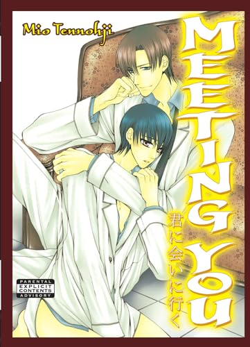 Meeting You