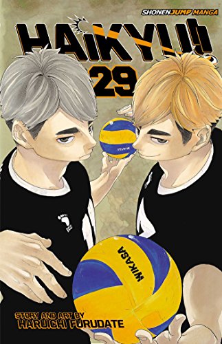Haikyu!! #29 cover