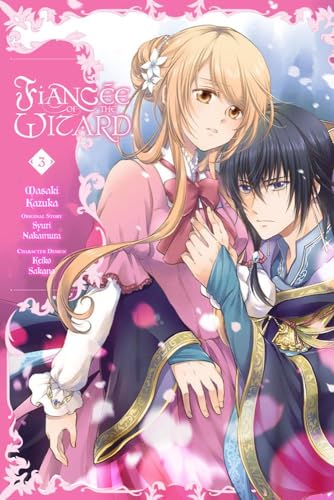 Fiancée of the Wizard #3 cover