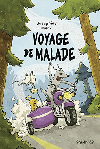 Voyage de malade #[nn] cover