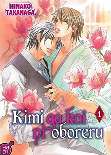 Kimi ga koi ni oboreru
