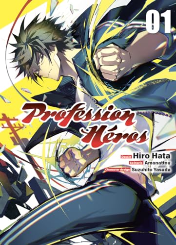 Profession héros