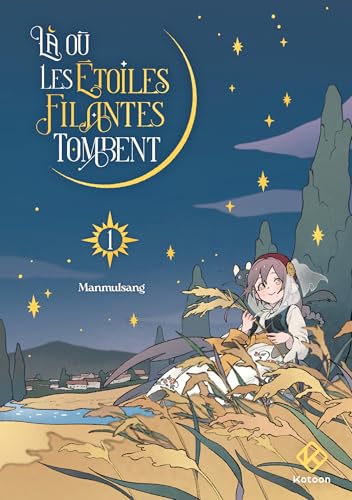 Là où les étoiles filantes tombent