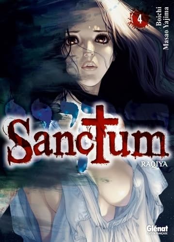 Sanctum #4 cover