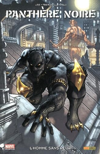Panthère Noire #1