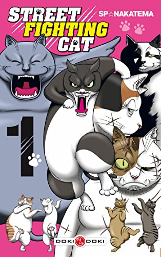 Street Fighting Cat