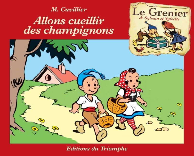 Le grenier de Sylvain et Sylvette