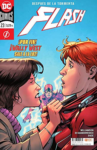 Flash #23 cover