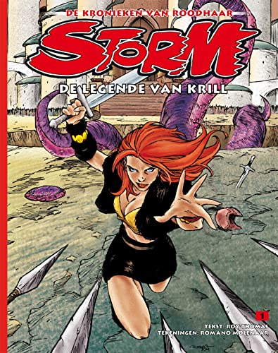Storm De kronieken van Roodhaar #1 cover