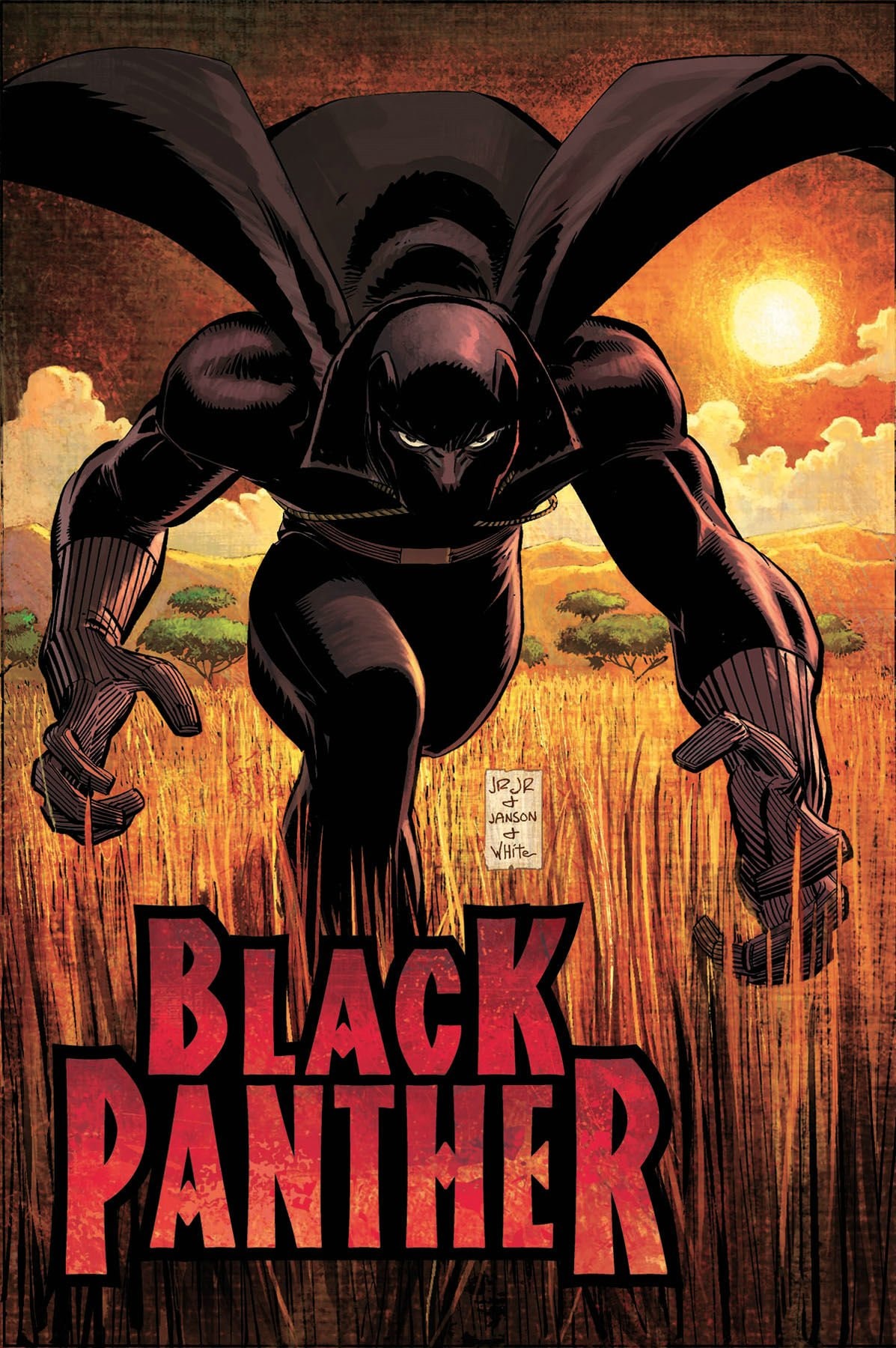 Black Panther: Who Is the Black Panther #[nn] cover