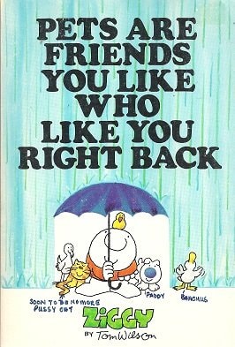 Pets Are Friends You Like Who Like You Right Back