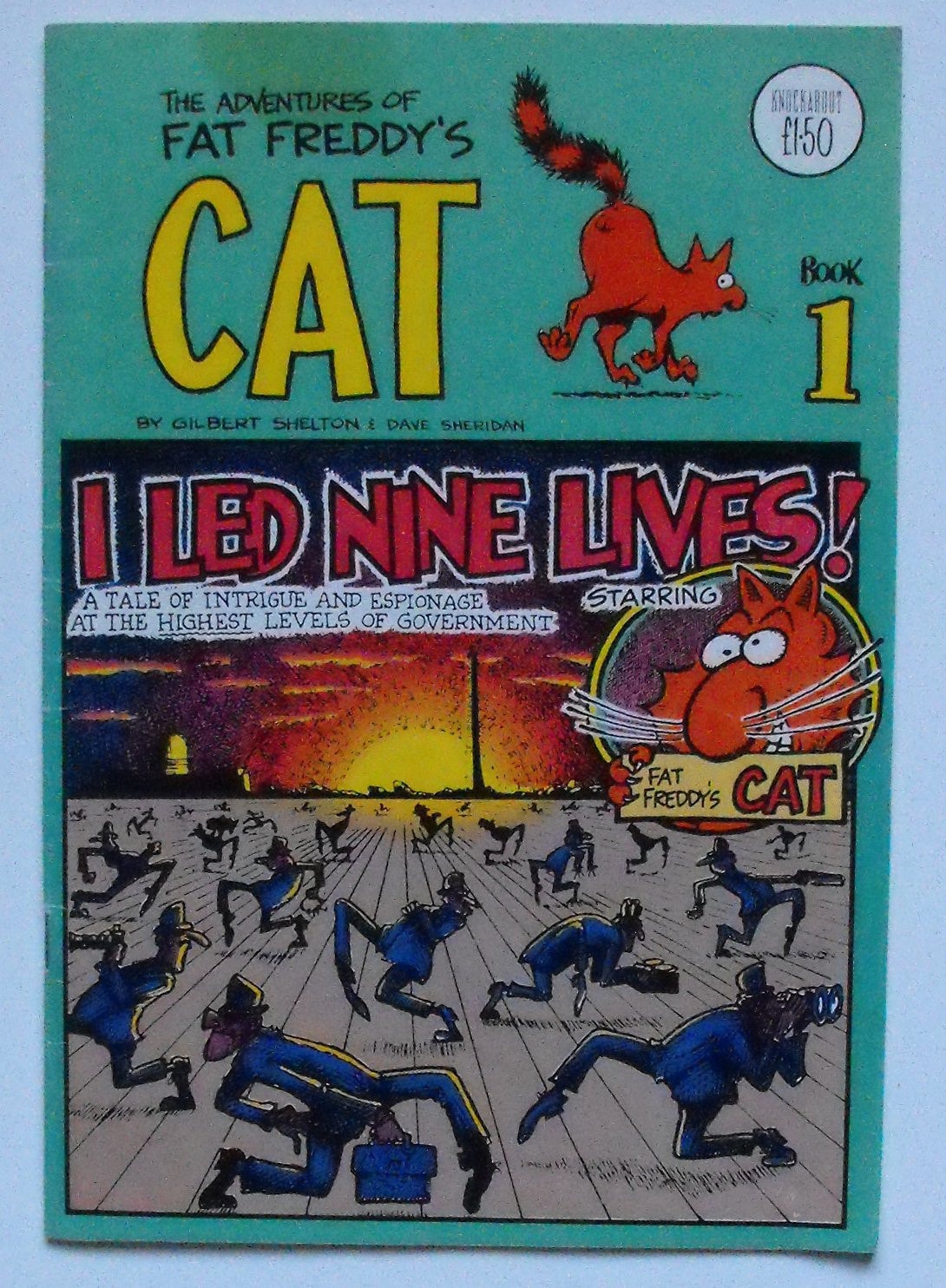 Fat Freddy's Cat