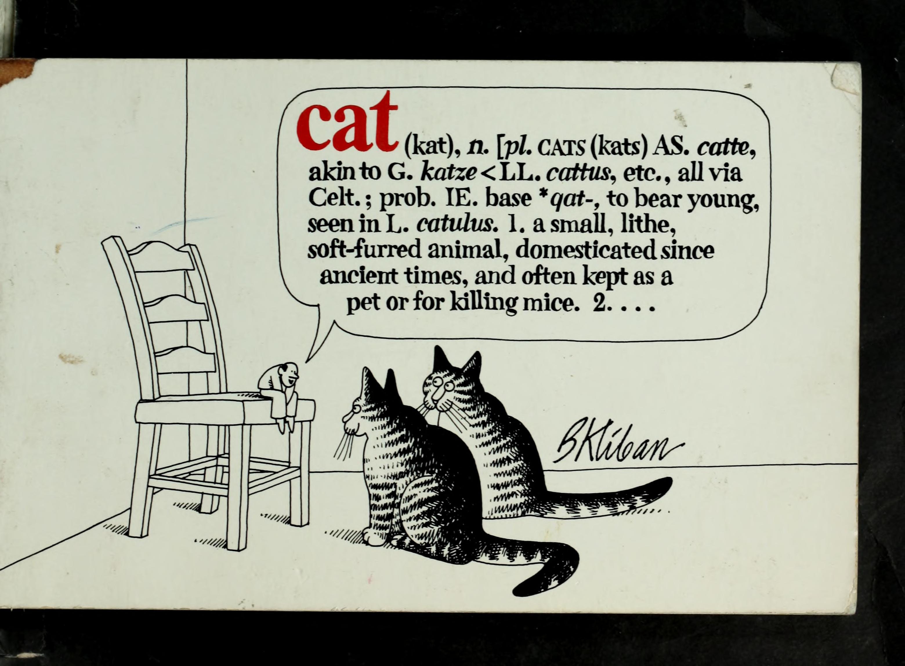Cat