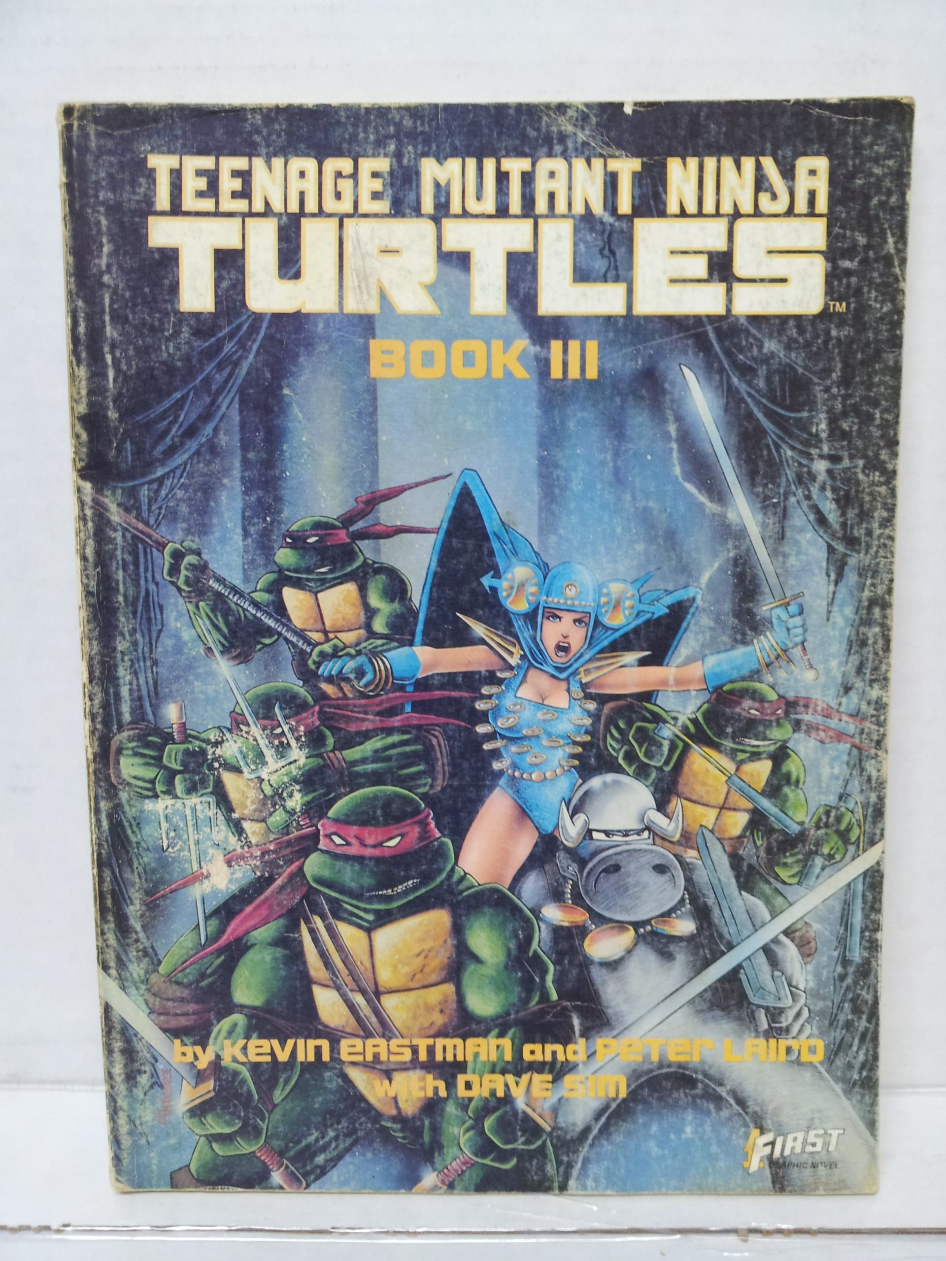 Teenage Mutant Ninja Turtles #3