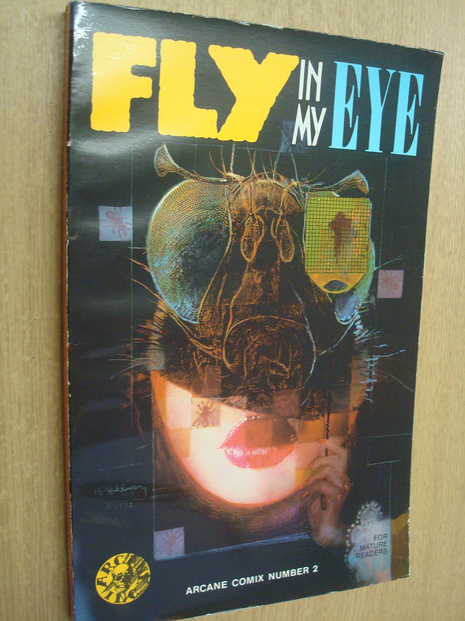 Fly in My Eye