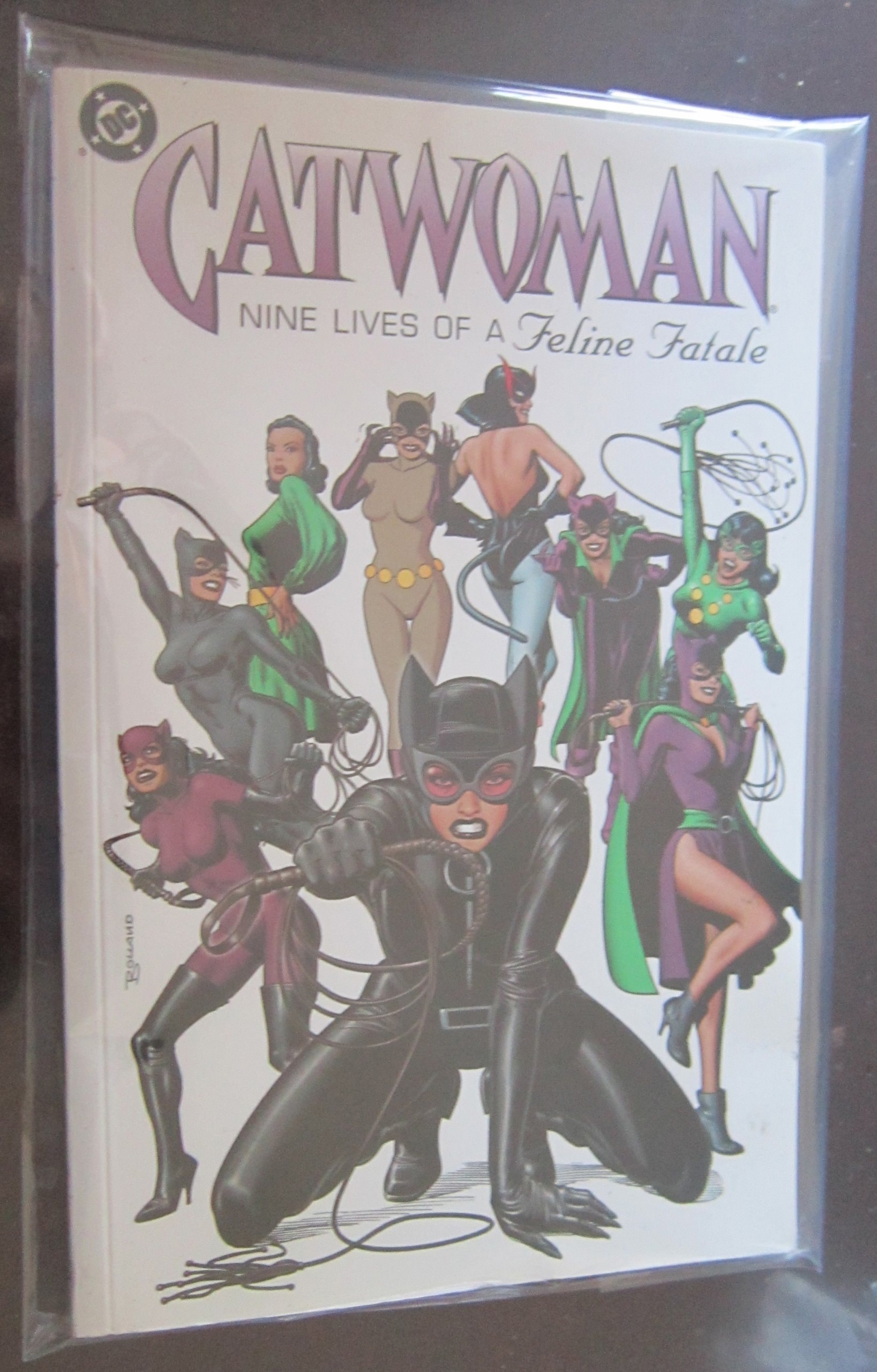 Catwoman: Nine Lives of the Feline Fatale #[nn] cover