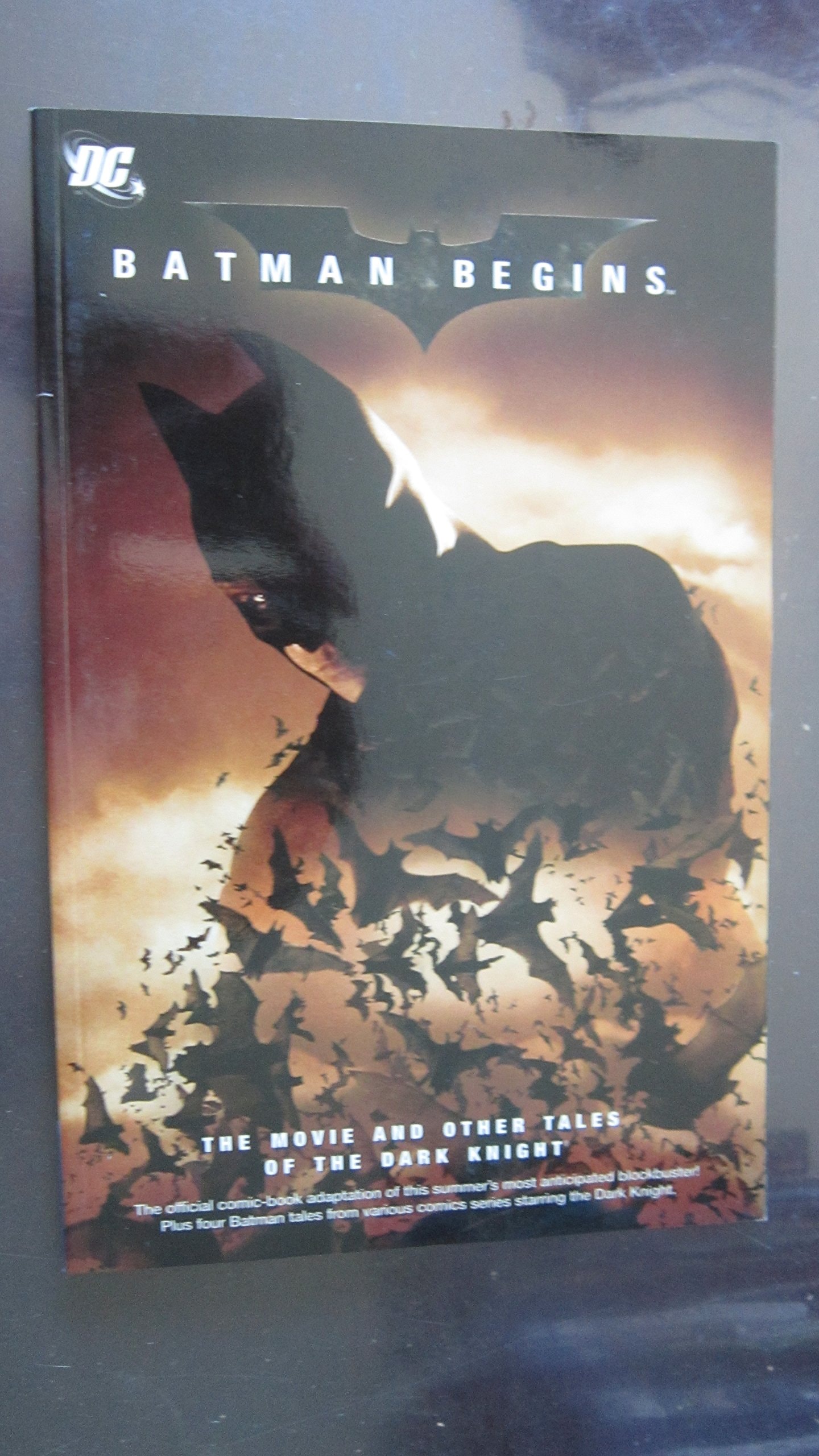 Batman Begins: The Movie & Other Tales of the Dark Knight #[nn]