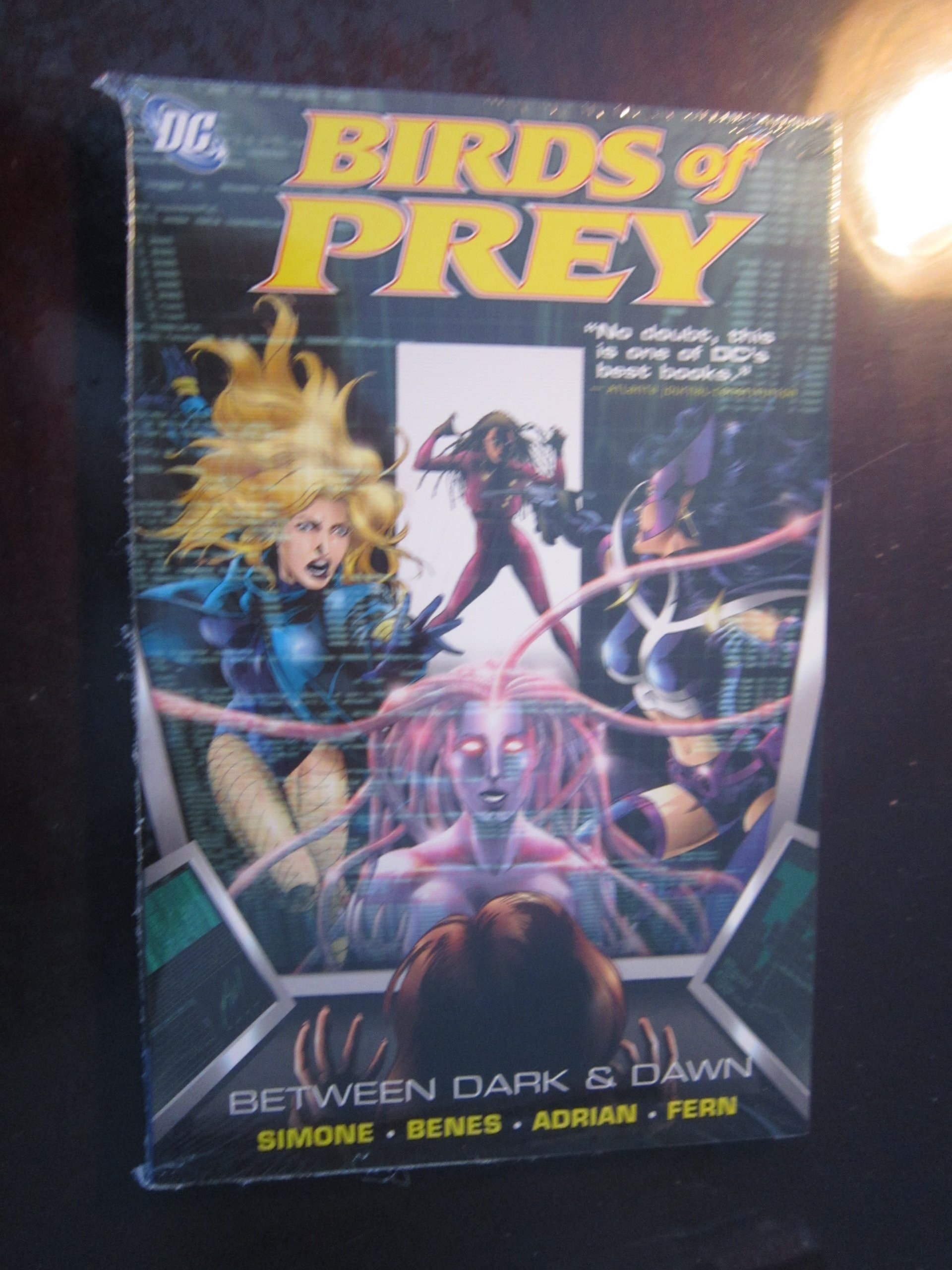 Birds of Prey: Between Dark & Dawn #[nn] cover