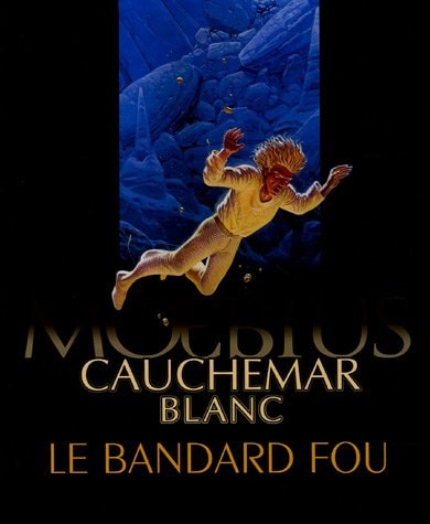 Cauchemar blanc - Le Bandard fou #[nn] cover