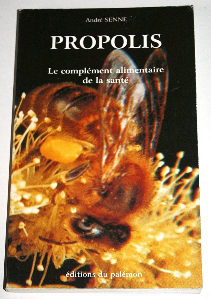 Le Marchand de Temps #1 cover