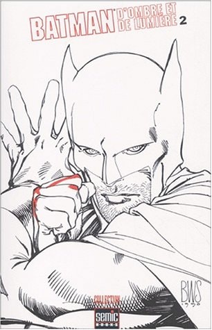 Batman: D'ombre et de lumière #2 cover