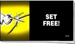 Set Free! #[nn] cover