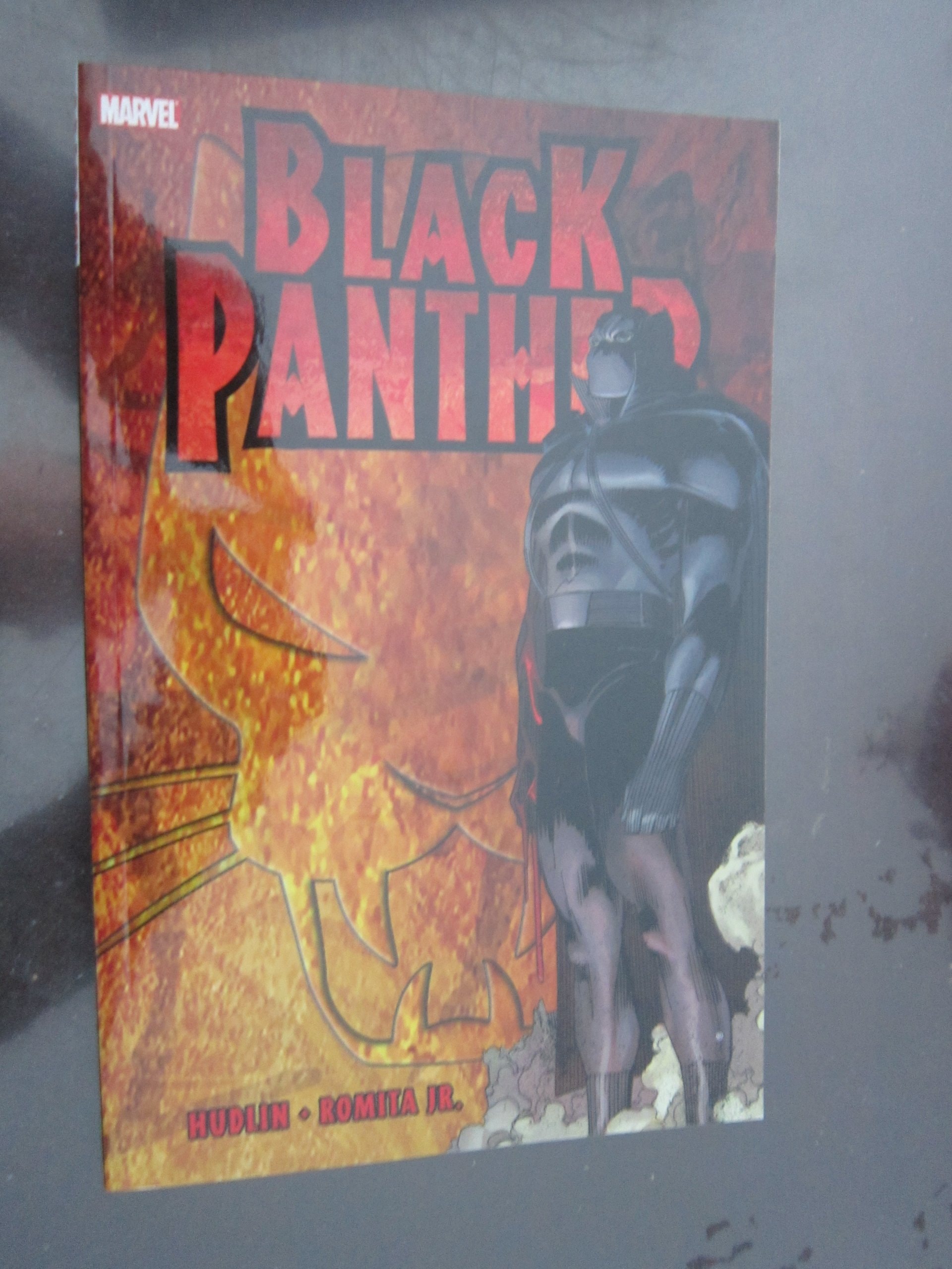 Black Panther: Who Is the Black Panther #[nn] cover