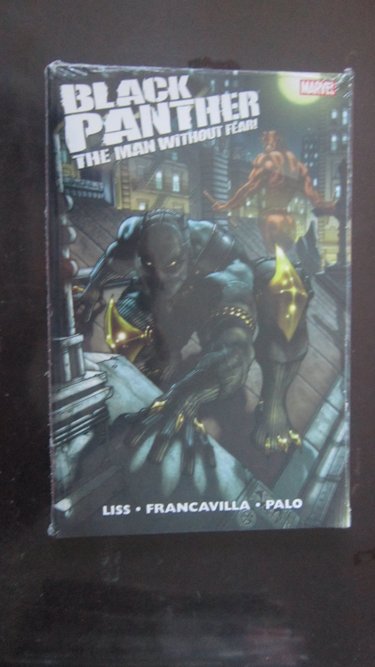 Black Panther: The Man Without Fear